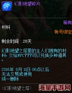 DNF手游攻略：绝望之塔72层狂暴者高效打法技巧与策略深度解析