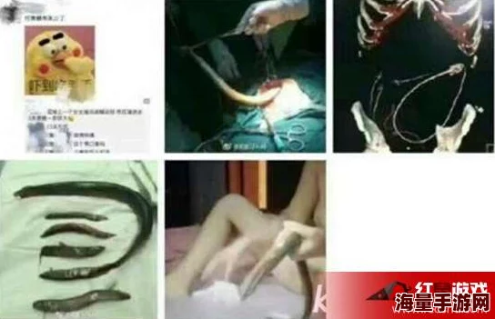 sp视频网站打屁股女贝网：近期该平台新增多部热门视频，吸引了大量用户关注与讨论