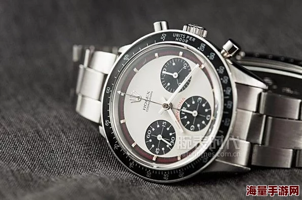 太极熊猫2游戏深度解析：拍卖行系统全攻略与功能大全面解读