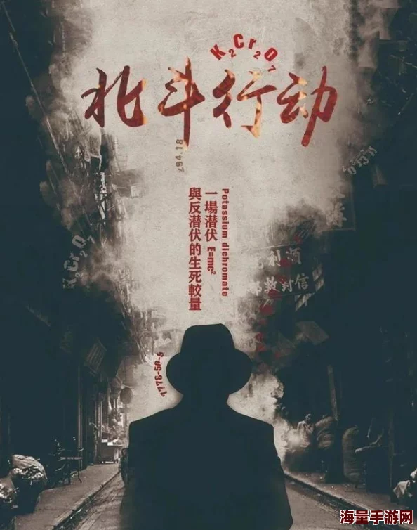 中文字幕网友认为中文字幕的质量参差不齐，有些翻译生硬，影响观影体验，但也有人赞赏其让更多人了解外国文化的重要性