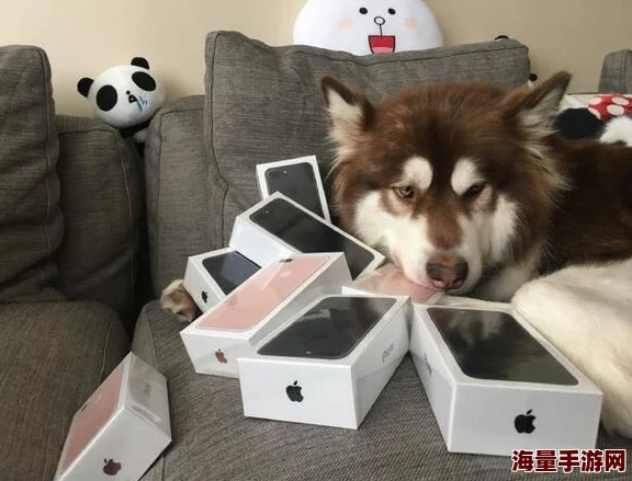 国产亚洲精品高清在线网友认为该平台提供的内容丰富多样，画质清晰，但也有部分用户反映广告较多影响观看体验