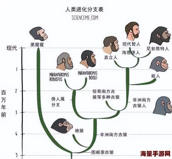 亚洲人和欧洲人谁先进化的？科学家揭示基因差异背后的惊人真相，引发全球热议！