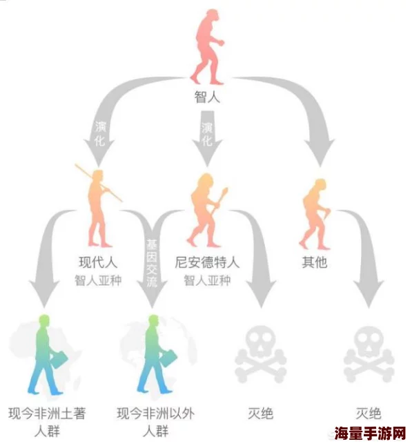 亚洲人和欧洲人谁先进化的？科学家揭示基因差异背后的惊人真相，引发全球热议！