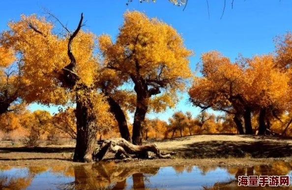 千年之旅国服角色强度排行榜信息介绍国服角色强度排行榜具体说明 千年之旅国服角色强度排行榜信息介绍国服角色强度排行榜具体说明